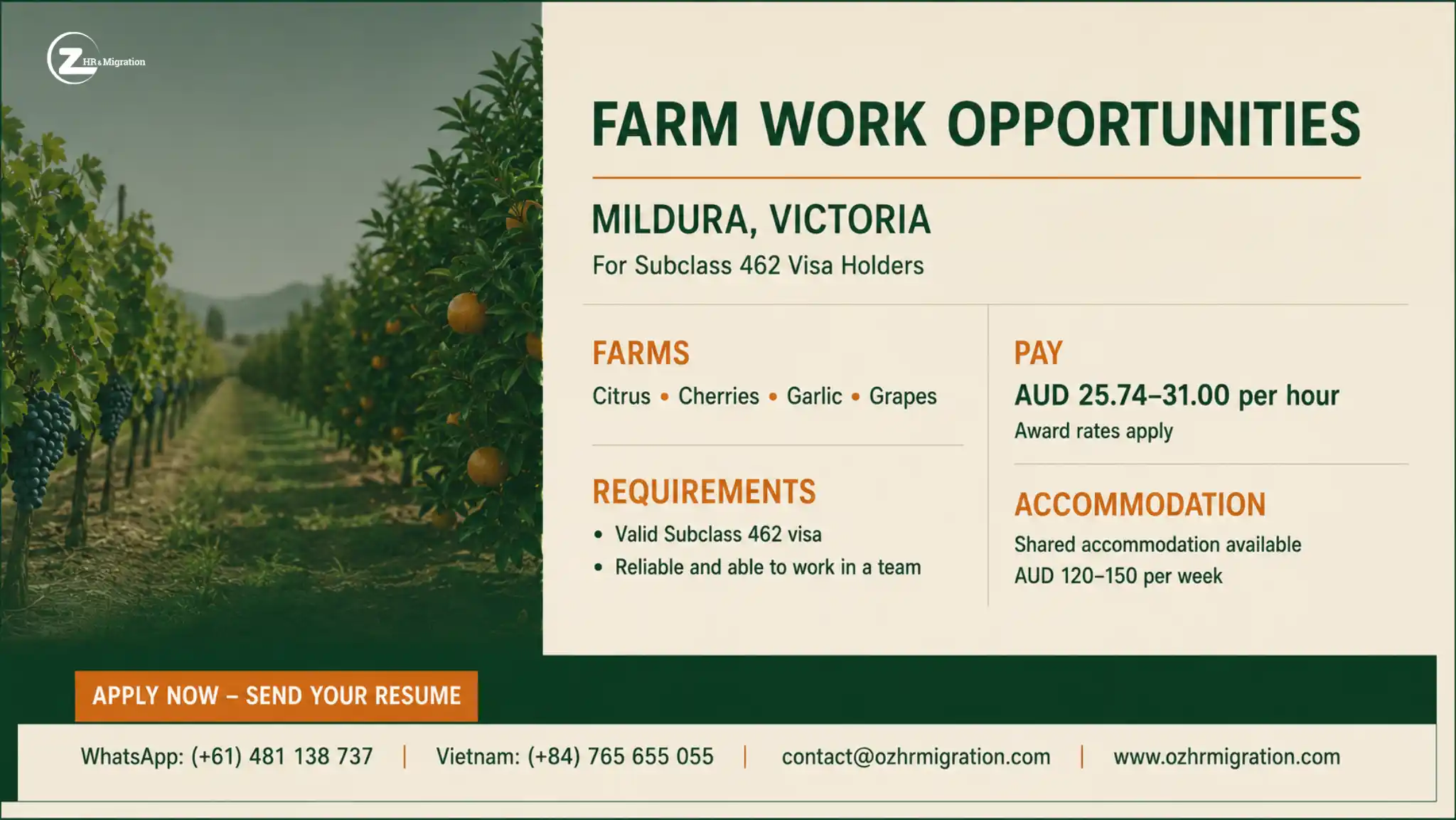 Farm Jobs in Mildura: Opportunity Overview